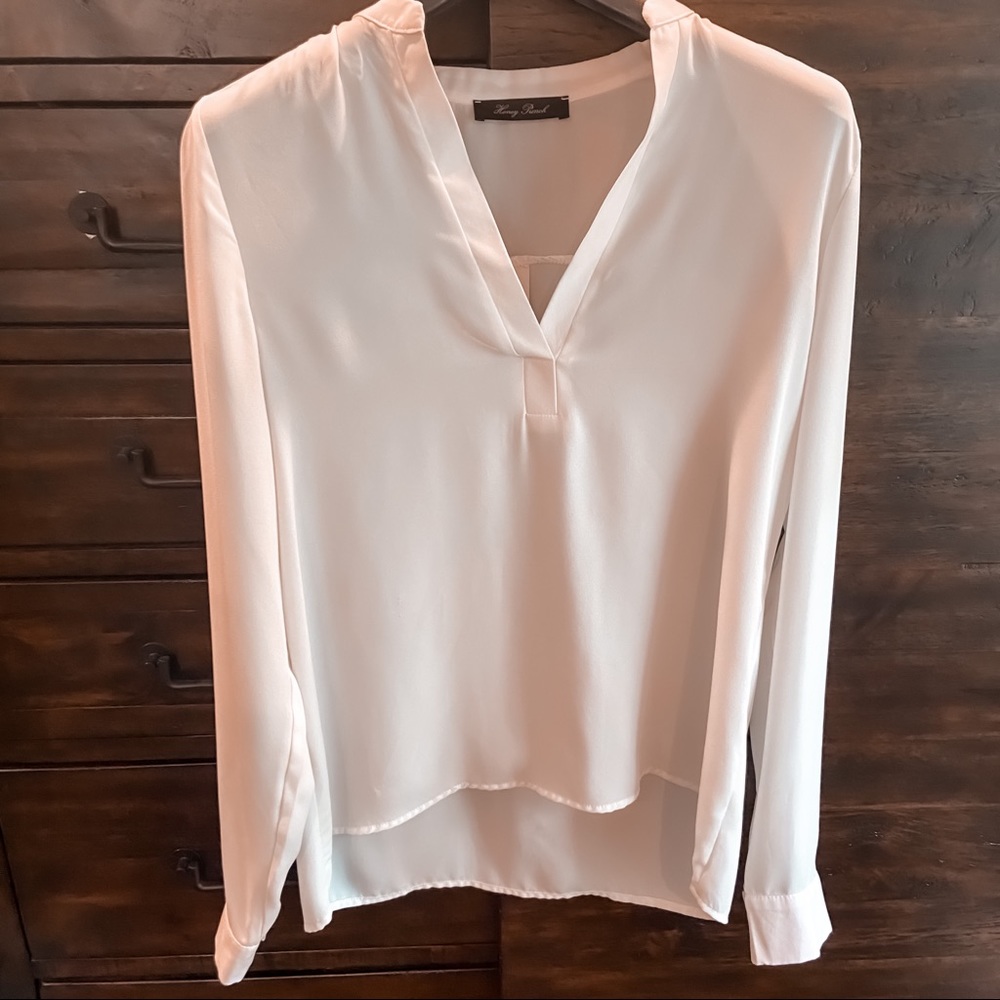 Sheer Long-Sleeved Blouse - Honey Punch